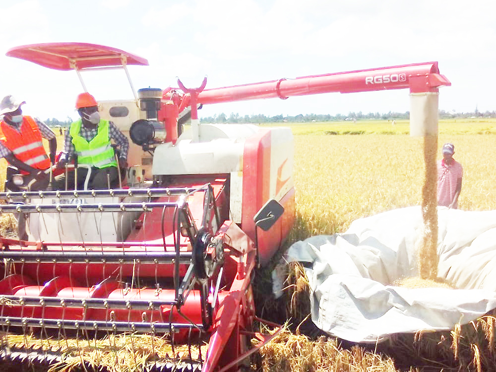 Rice Farm Machinery