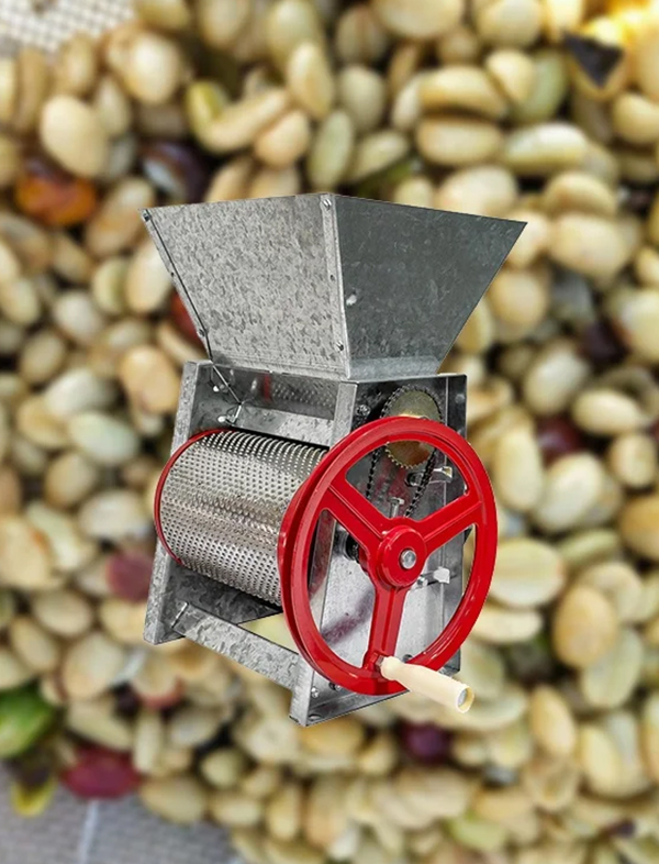 How to Choose Coffee Processing Equipment
