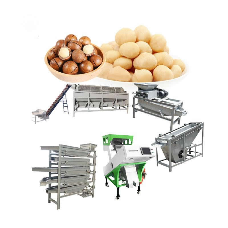 Macadamia Machinery 3